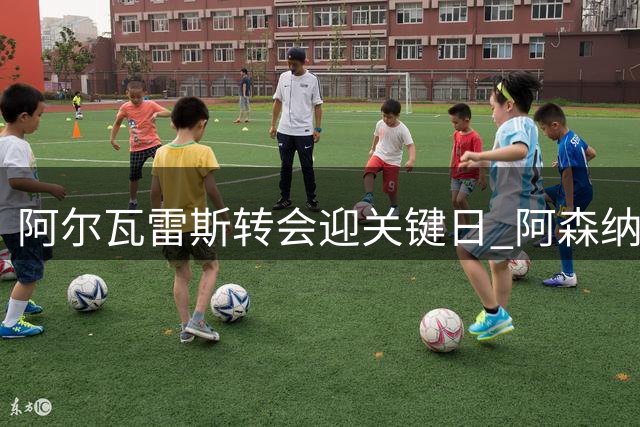 阿尔瓦雷斯转会迎关键日 阿森纳1.5亿欧报价待回应